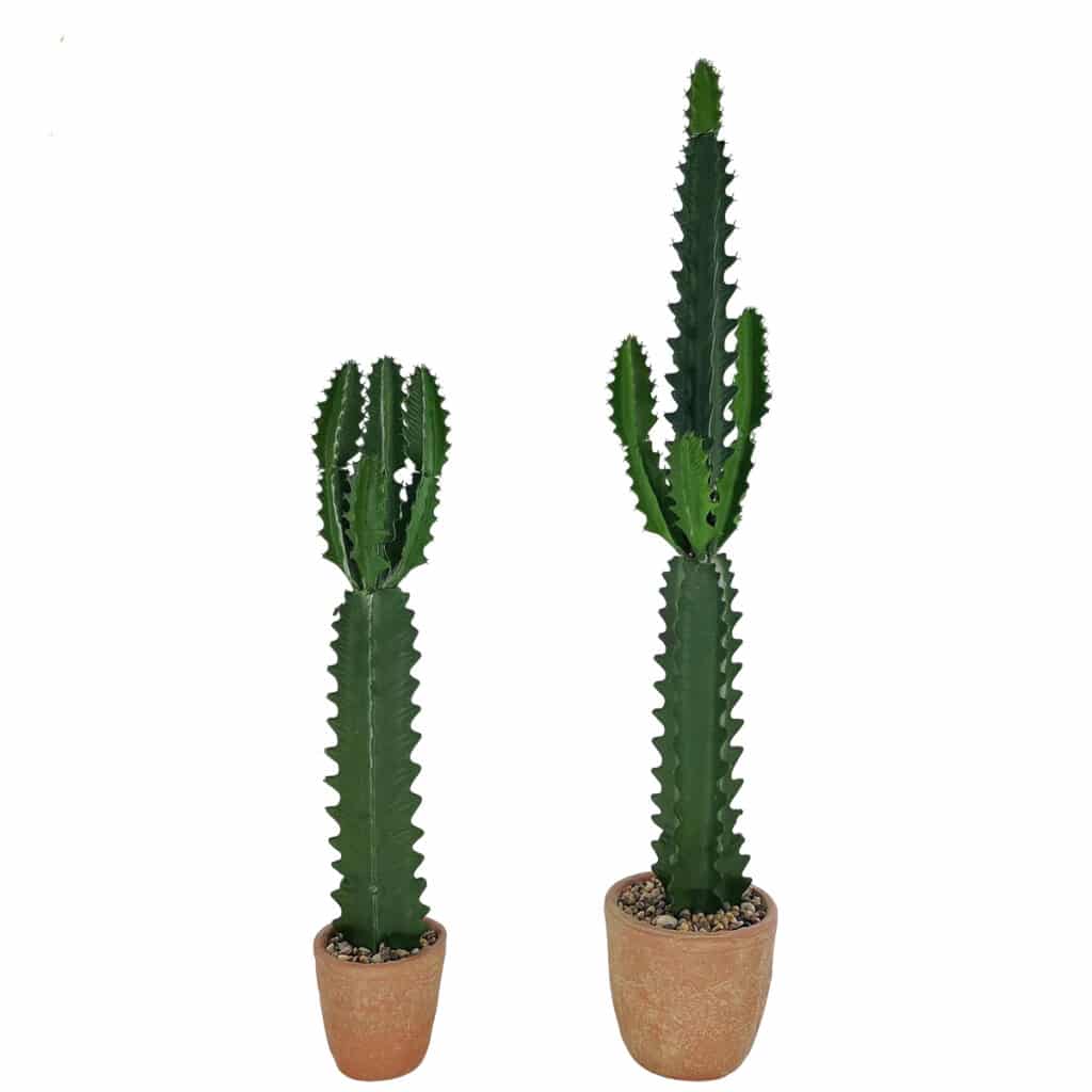 Photo de 2 cactus artificiels de différentes tailles dans un pot en terre dans un fond blanc