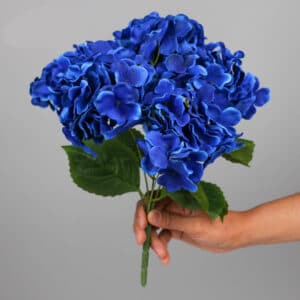 Main tenant un bouquet de fleurs bleues sur fond gris.