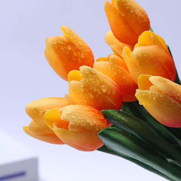 Bouquet de tulipes oranges avec des gouttes d'eau sur les pétales