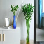 bambou artificiel dans un vase