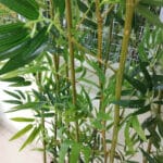 Feuille de bambou artificiel