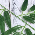 feuilles de bambou artificiel verte