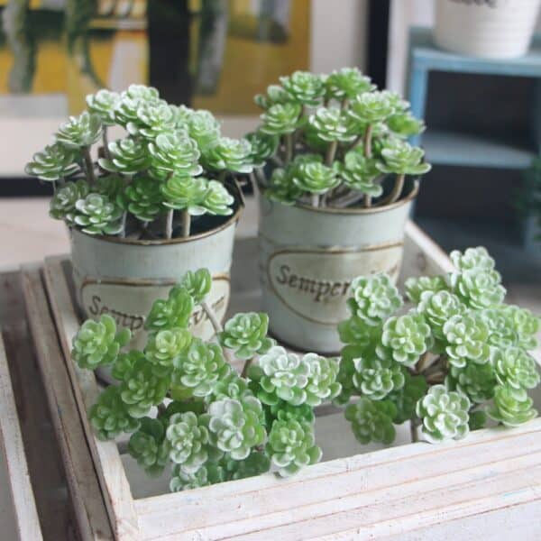 mini cactus artificiel pour le jardin de couleur blanc et vert.