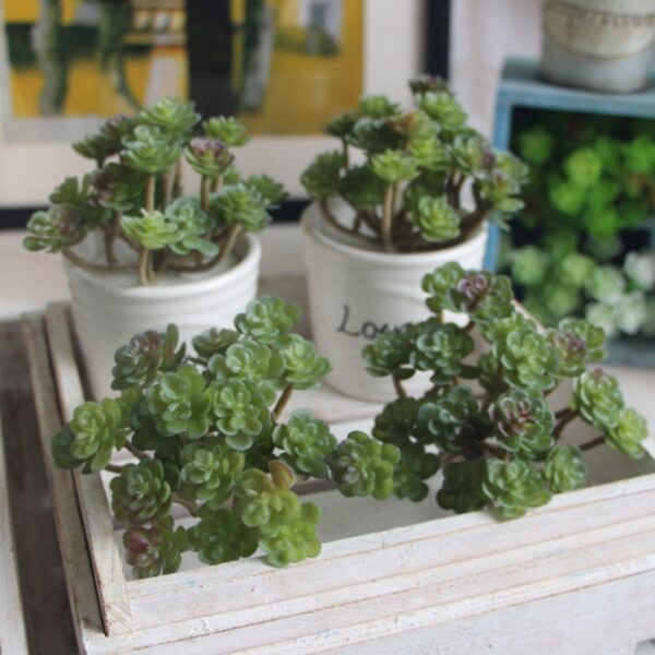 mini cactus artificiel pour le jardin de couleur rouge et vert.