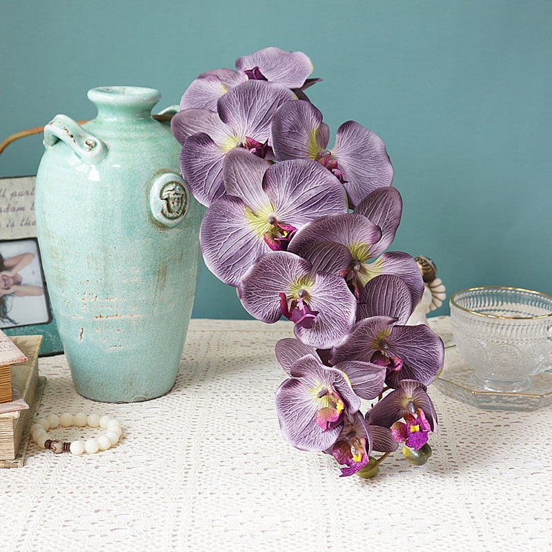 Grande orchidée violet