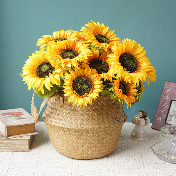 tournesol Xxl dans son pot en osier