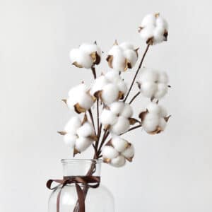 Photo d'un bouquet de fleurs de coton artificielles dans un vase en verre