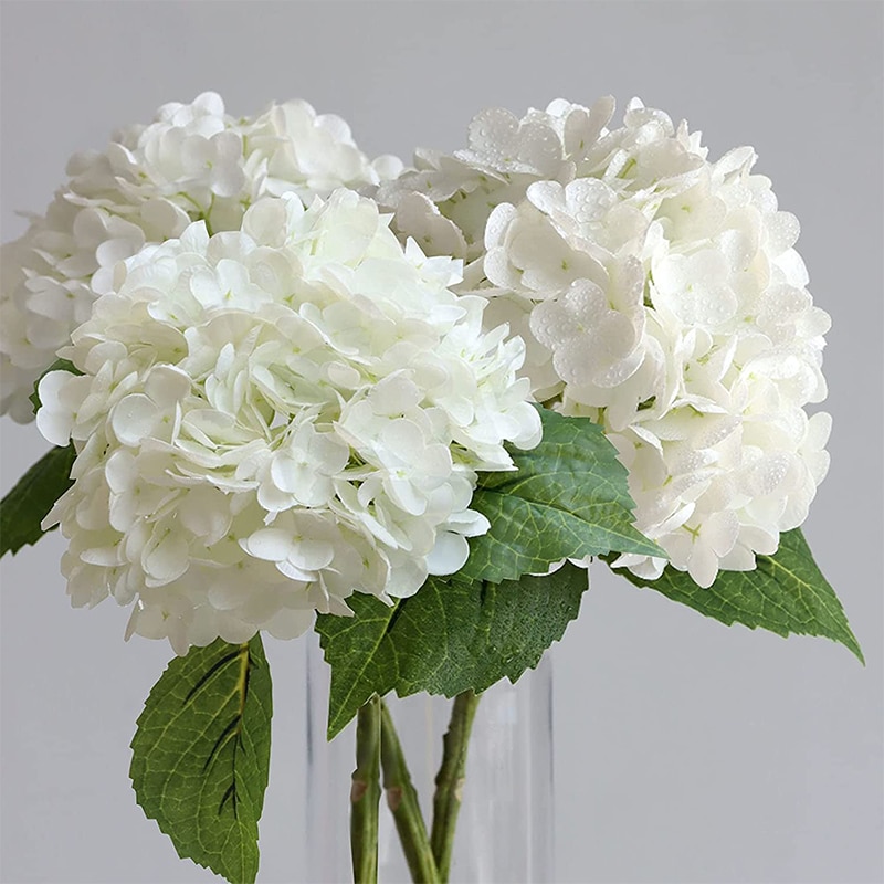 Photo de 3 fleurs blanches d'hortensia dans un vase en verre