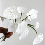 Photo d'un bouquet de fleurs blanches d'anthurium artificielles