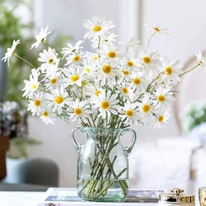 Photo d'un bouquet de leurs blanches de marguerite dans un vase en verre