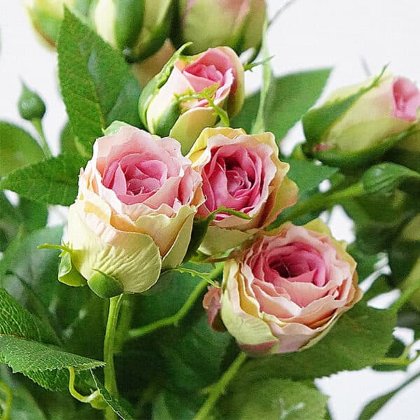Des jeunes roses en plastiques blanches et roses clairs avec leurs feuilles sur un fond blanc.
