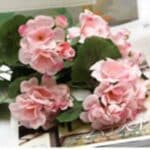 Bouquete rose de geranium artificiel