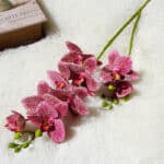 On voit une jolie tige de fleurs d'orchidées de couleur violette.