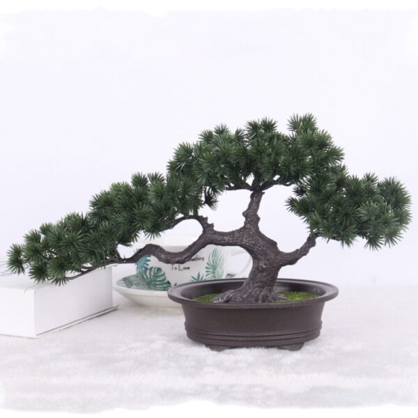 4105-dff2b5.jpeg