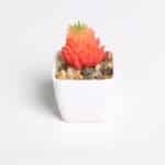 Mini plante grasse orange artificielle en pot