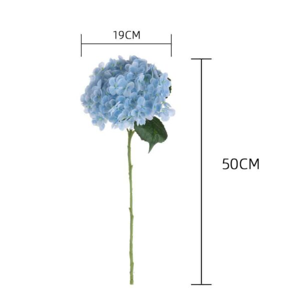4937-caab85.jpeg