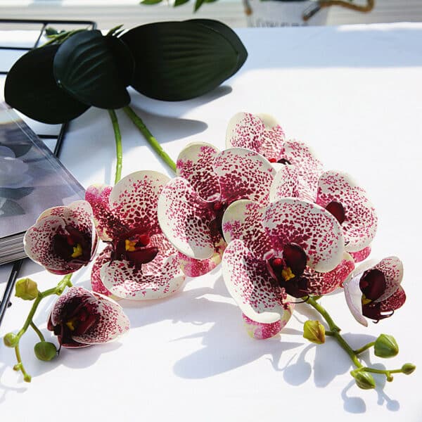 On voit des tiges d'orchidées avec des fleurs blanches et violettes. Elles sont posées sur un meuble blanc.