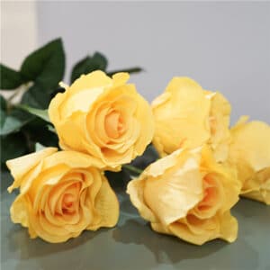 Cinq roses jaunes allongées sur une table en verre sur un fond gris