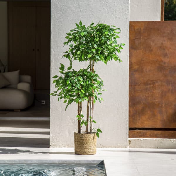 Ficus en pot double plante artificielle verte au bord d'une piscine.
