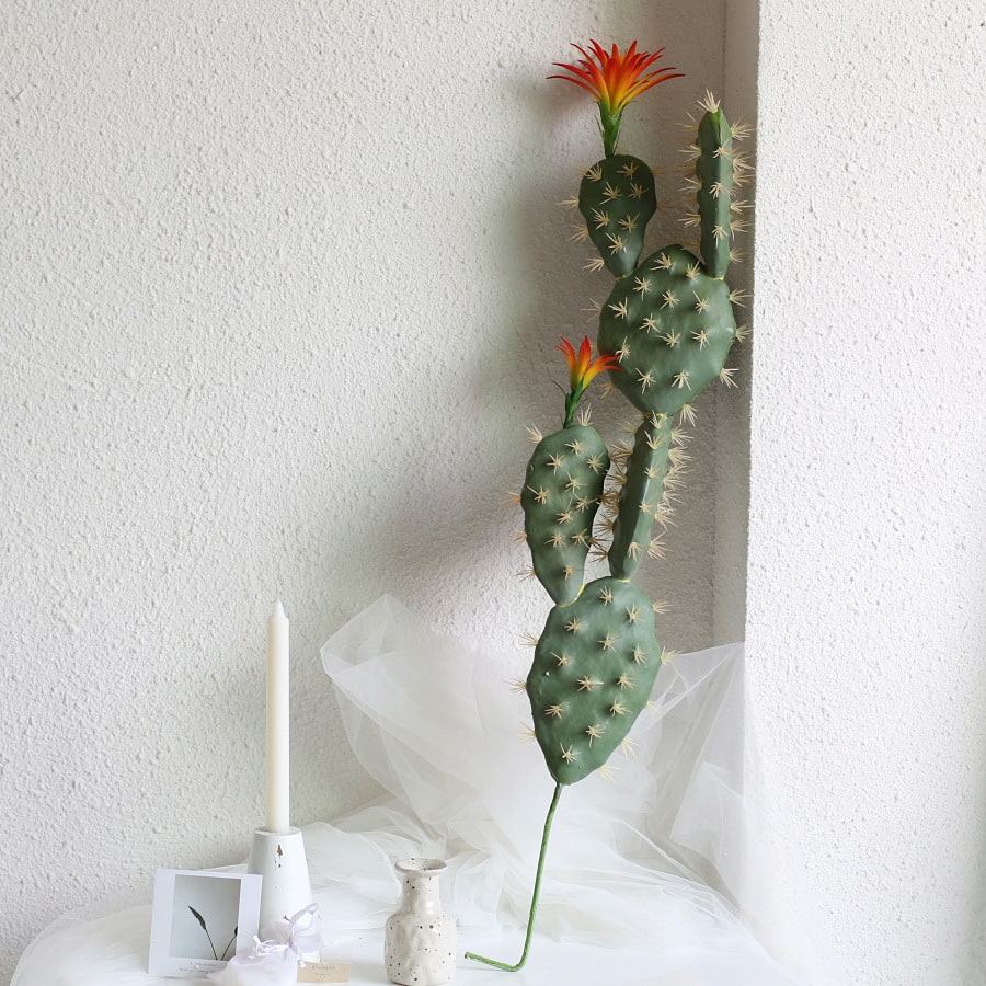 Photo d'un cactus artificiel sans peau avec des fleurs orangés