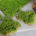 Trois morceaux de mousse verte artificielle posés sur surface blanche