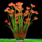 Plante artificielle pour aquarium de couleur rouge.