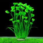 Plante artificielle pour aquarium de couleur verte.