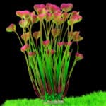 Plante artificielle pour aquarium de couleur rose.