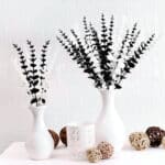 Bouquet d'eucalyptus artificiel coloré dans deux vases