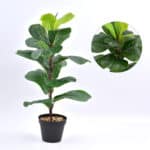 Plante Ficus artificielle dans son pot noir.