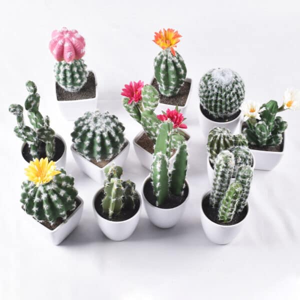 Plein de petit cactus en pot de différente couleur sur un fond blanc