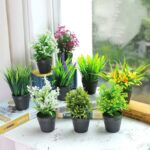 9 plantes artificielles devant un fenêtre