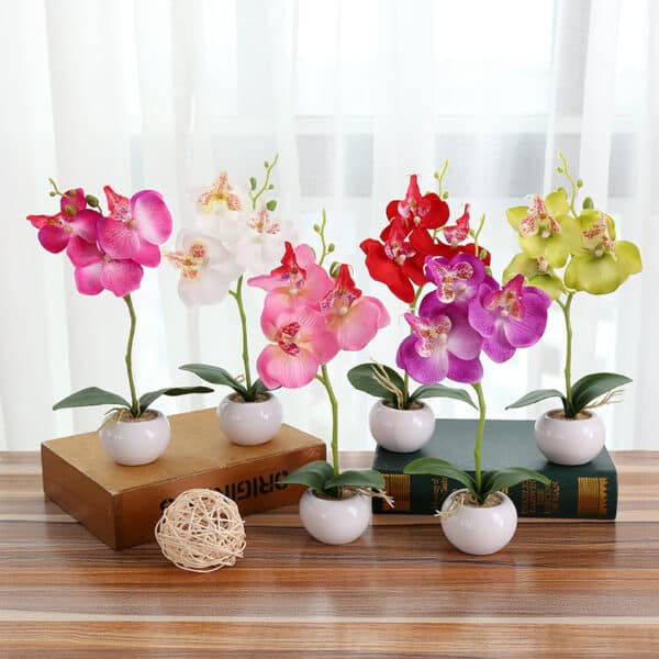 6 petites plantes de couleur artfiicelles posé sur un livre ou une buche en bois ou sur un table en bois