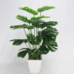 Photo d'une plante artificielle feuilles de tortues dans un pot blanc.