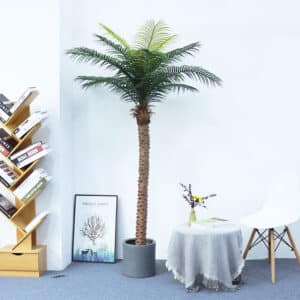 Palmier dans un pot, dans une pièce avec une table, un cadre, un tabouret et une bibliothèque.