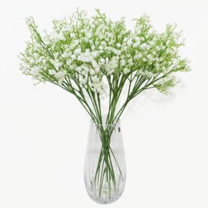 Bouquet de fleurs blanche gypsophiles dans un vase en verre blanc sur un arrière plan banc
