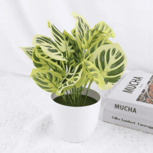 Photo d'une plante artificielle Calathea dans un pot blanc à coté d'un livre.